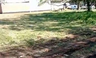 Terreno / Lote en venta de 333m2 ubicado en Los Pinares