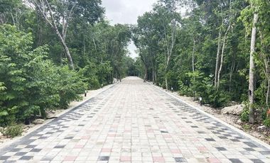 Casas en Venta en Jardines de Ciudad MAYAKOBA en La Riviera Maya