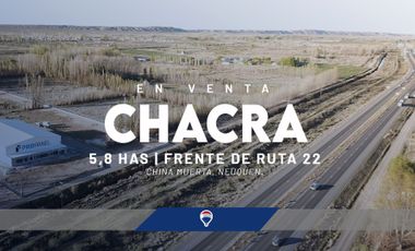 CHACRA 5,8 HAS FRENTE DE RUTA 22 - CHINA MUERTA