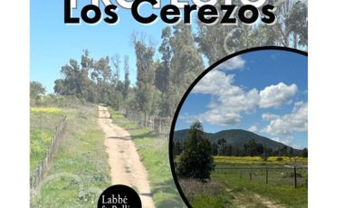 Gran Oportunidad en Venta: Terrenos en Proyecto Los Cerezos