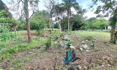 VENDO LOTE DE 5413 M2  VIA INTERAMERICANA