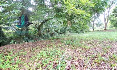 VENDO LOTE DE 5413 M2  VIA INTERAMERICANA