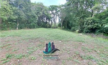 VENDO LOTE DE 5413 M2  VIA INTERAMERICANA