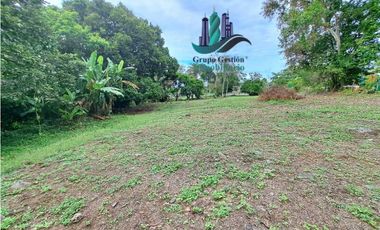 VENDO LOTE DE 5413 M2  VIA INTERAMERICANA