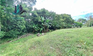 VENDO LOTE DE 5413 M2  VIA INTERAMERICANA