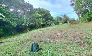 VENDO LOTE DE 5413 M2  VIA INTERAMERICANA