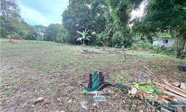 VENDO LOTE DE 5413 M2  VIA INTERAMERICANA