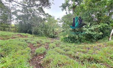 VENDO FINCA DE 13 HECTAREAS EN BUGABA A 700M.S.N.M.