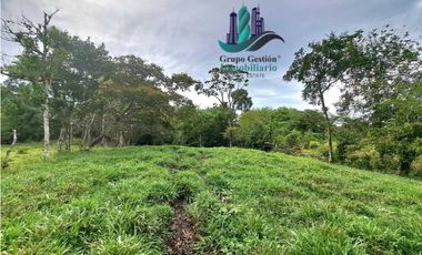 VENDO FINCA DE 13 HECTAREAS EN BUGABA A 700M.S.N.M.