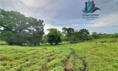 VENDO FINCA DE 13 HECTAREAS EN BUGABA A 700M.S.N.M.