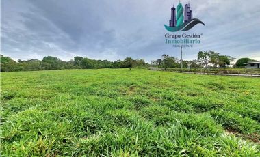 VENDO FINCA DE 13 HECTAREAS EN BUGABA A 700M.S.N.M.