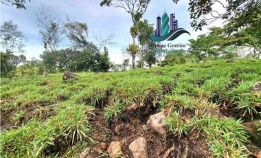 VENDO FINCA DE 13 HECTAREAS EN BUGABA A 700M.S.N.M.