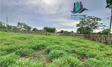 VENDO FINCA DE 13 HECTAREAS EN BUGABA A 700M.S.N.M.