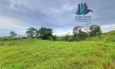 VENDO FINCA DE 13 HECTAREAS EN BUGABA A 700M.S.N.M.