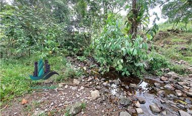 VENDO FINCA DE 13 HECTAREAS EN BUGABA A 700M.S.N.M.