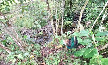 VENDO FINCA DE 13 HECTAREAS EN BUGABA A 700M.S.N.M.