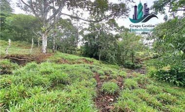 VENDO FINCA DE 13 HECTAREAS EN BUGABA A 700M.S.N.M.