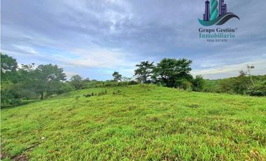 VENDO FINCA DE 13 HECTAREAS EN BUGABA A 700M.S.N.M.