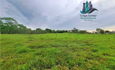 VENDO FINCA DE 13 HECTAREAS EN BUGABA A 700M.S.N.M.