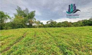 VENDO FINCA DE 13 HECTAREAS EN BUGABA A 700M.S.N.M.