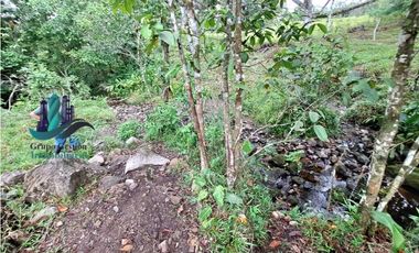 VENDO FINCA DE 13 HECTAREAS EN BUGABA A 700M.S.N.M.
