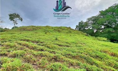 VENDO FINCA DE 13 HECTAREAS EN BUGABA A 700M.S.N.M.