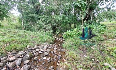 VENDO FINCA DE 13 HECTAREAS EN BUGABA A 700M.S.N.M.