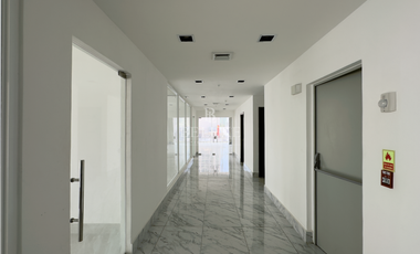 ALQUILO VENDO OFICINAS EN SAN FRANCISCO PH THE TOWERS (5)