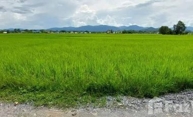 Land for sale in Thuem Tong, Nan