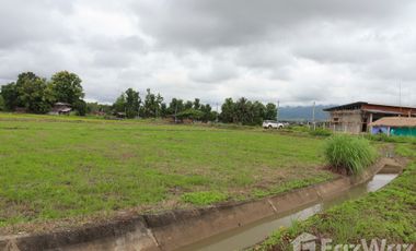 Land for sale in Pua, Nan