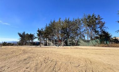 Terreno Construccion  en Venta en Alejandro Galaz - Los Viñedos