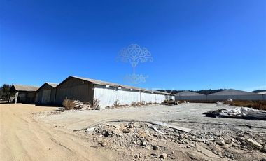 Terreno Construccion  en Venta en Alejandro Galaz - Los Viñedos
