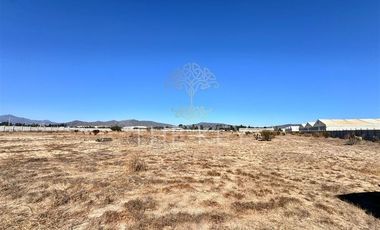Terreno Construccion  en Venta en Alejandro Galaz - Los Viñedos