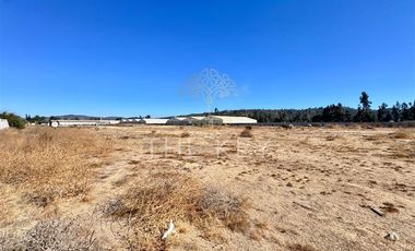 Terreno Construccion  en Venta en Alejandro Galaz - Los Viñedos