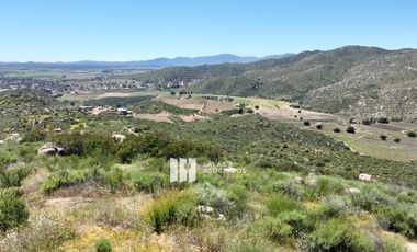 23 HECTAREAS EN COLINA PRIVADA VALLE DE GUADALUPE