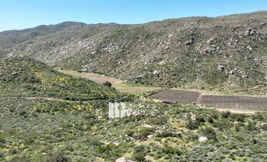 23 HECTAREAS EN COLINA PRIVADA VALLE DE GUADALUPE