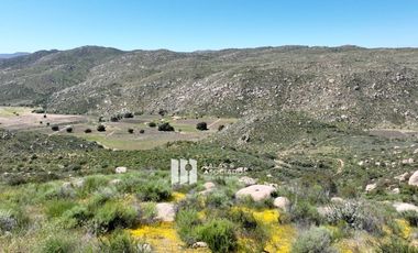 23 HECTAREAS EN COLINA PRIVADA VALLE DE GUADALUPE