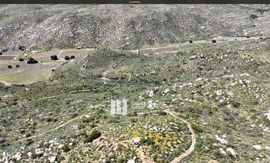 23 HECTAREAS EN COLINA PRIVADA VALLE DE GUADALUPE