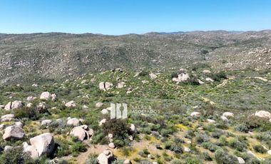23 HECTAREAS EN COLINA PRIVADA VALLE DE GUADALUPE