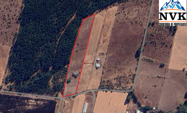 Terreno de 12.500 mts2 con cabaña en construcción se vende
