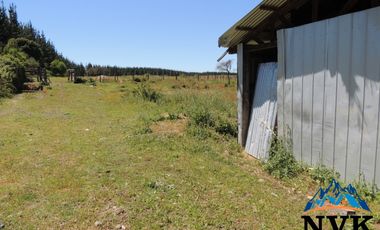 Terreno de 12.500 mts2 con cabaña en construcción se vende