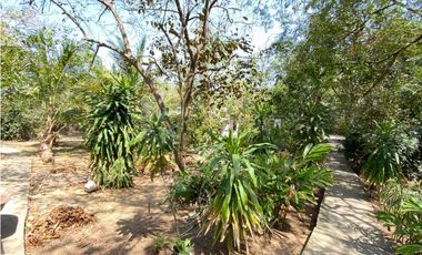 FINCA EN VENTA DE 2 HECTAREAS REA URBANA ENTRE LOS ALPES-13 DE JUNIO