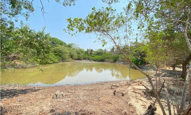 FINCA EN VENTA DE 2 HECTAREAS REA URBANA ENTRE LOS ALPES-13 DE JUNIO