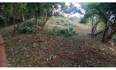 LOTE SANTA MARTA CERCA AL PARQUE NACIONAL TAYRONA