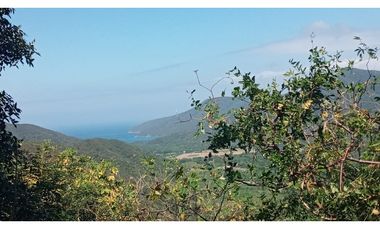 LOTE SANTA MARTA CERCA AL PARQUE NACIONAL TAYRONA