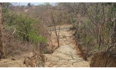 LOTE SANTA MARTA CERCA AL PARQUE NACIONAL TAYRONA