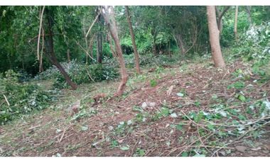 LOTE SANTA MARTA CERCA AL PARQUE NACIONAL TAYRONA