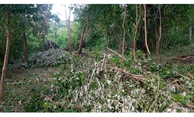 LOTE SANTA MARTA CERCA AL PARQUE NACIONAL TAYRONA