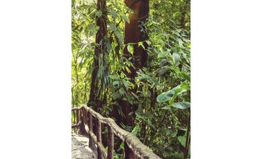 LOTE SANTA MARTA CERCA AL PARQUE NACIONAL TAYRONA