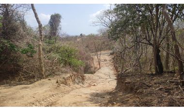 LOTE SANTA MARTA CERCA AL PARQUE NACIONAL TAYRONA